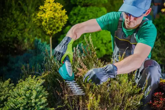 landscaping services Rocky Ridge